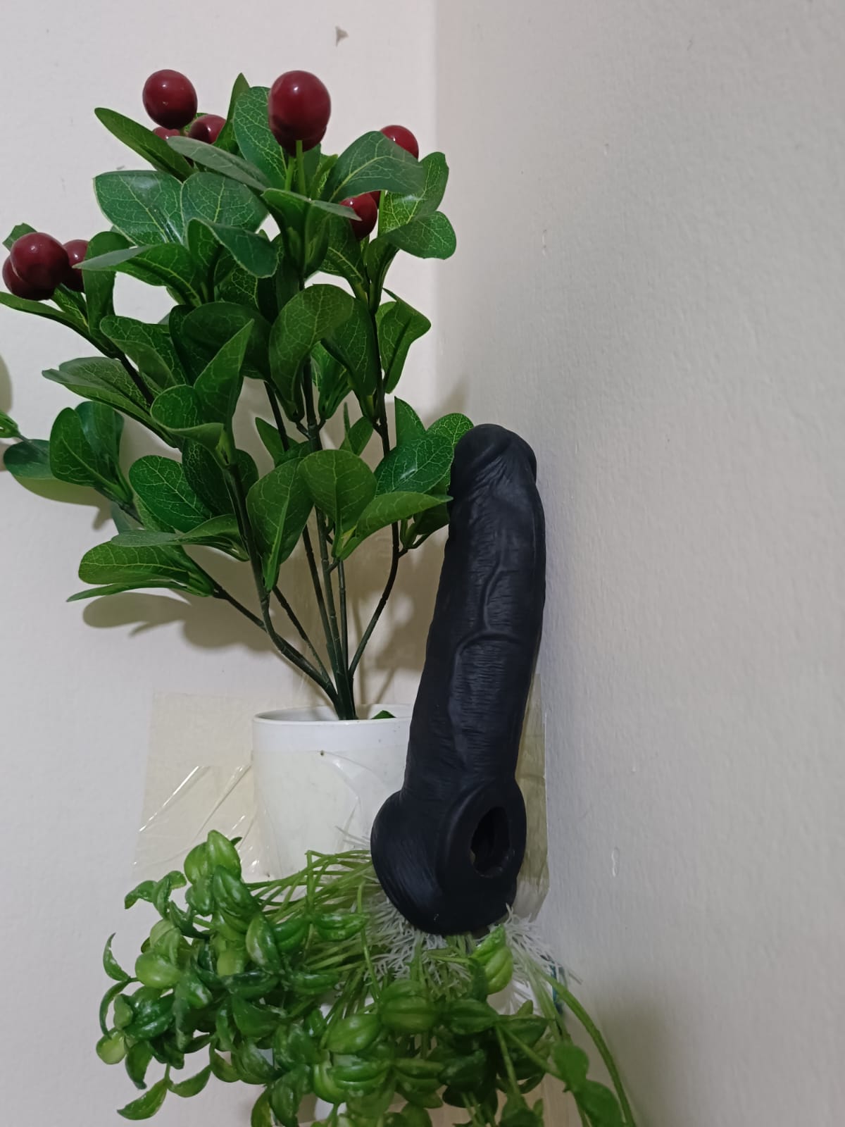 4495b566-7e4d-40c9-a9a0-83c841c74bdc